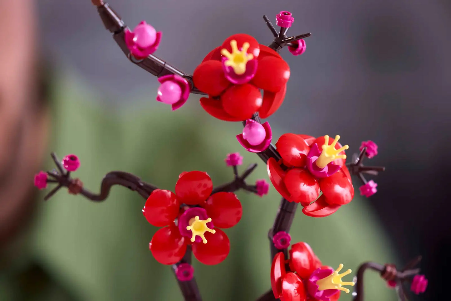 Plum Blossom Building Block
